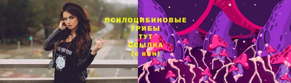 молекула духа Вяземский