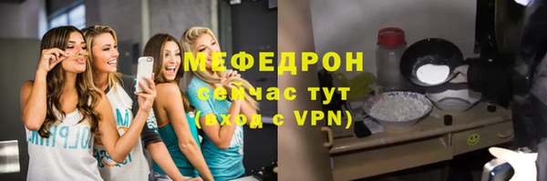 молекула духа Вяземский