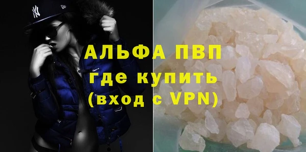 молекула духа Вяземский