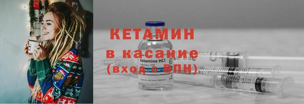 молекула духа Вяземский
