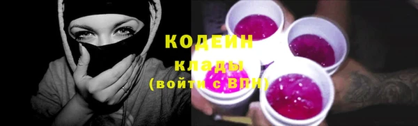 молекула духа Вяземский