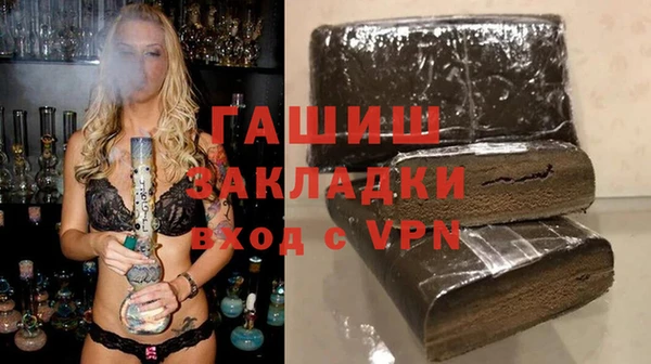 молекула духа Вяземский