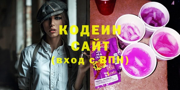 молекула духа Вяземский