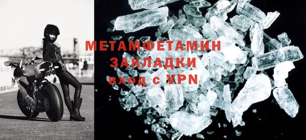 молекула духа Вяземский
