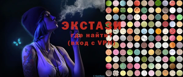 молекула духа Вяземский