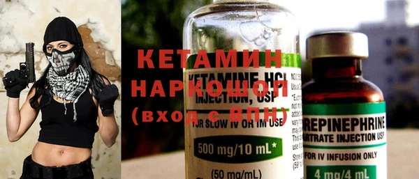 молекула духа Вяземский