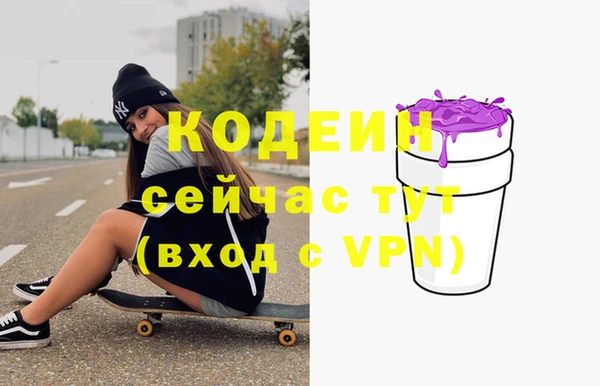 молекула духа Вяземский
