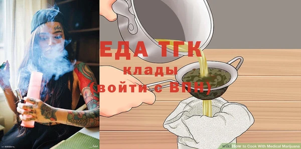 молекула духа Вяземский