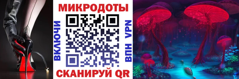 Купить где  Красноуфимск  Галлюциногенные грибы GOLDEN TEACHER 